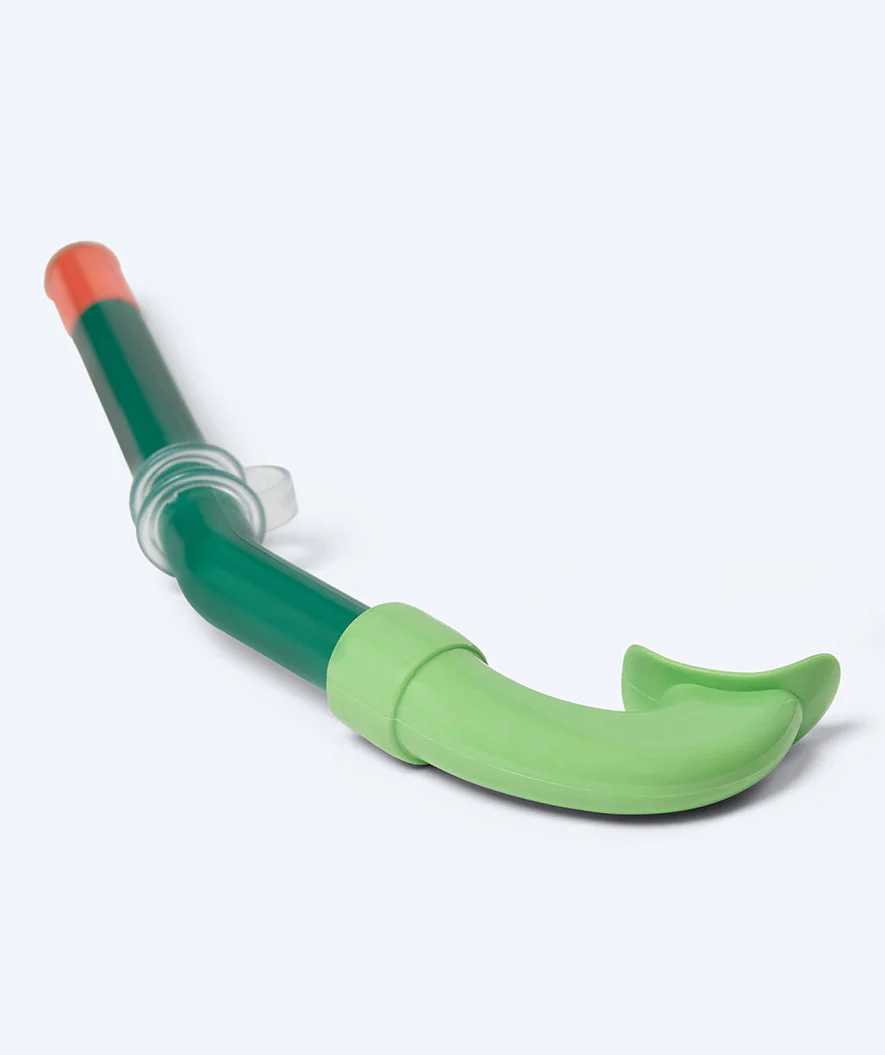 Watery Combo snorkel set for kids (4-10) - Pulina - Green - Image 5