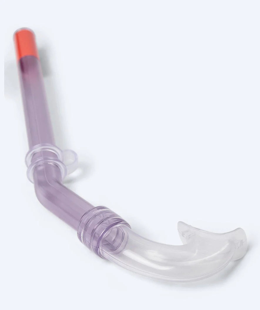 Watery snorkel for kids (4-10) - Winslet - Purple - Image 2