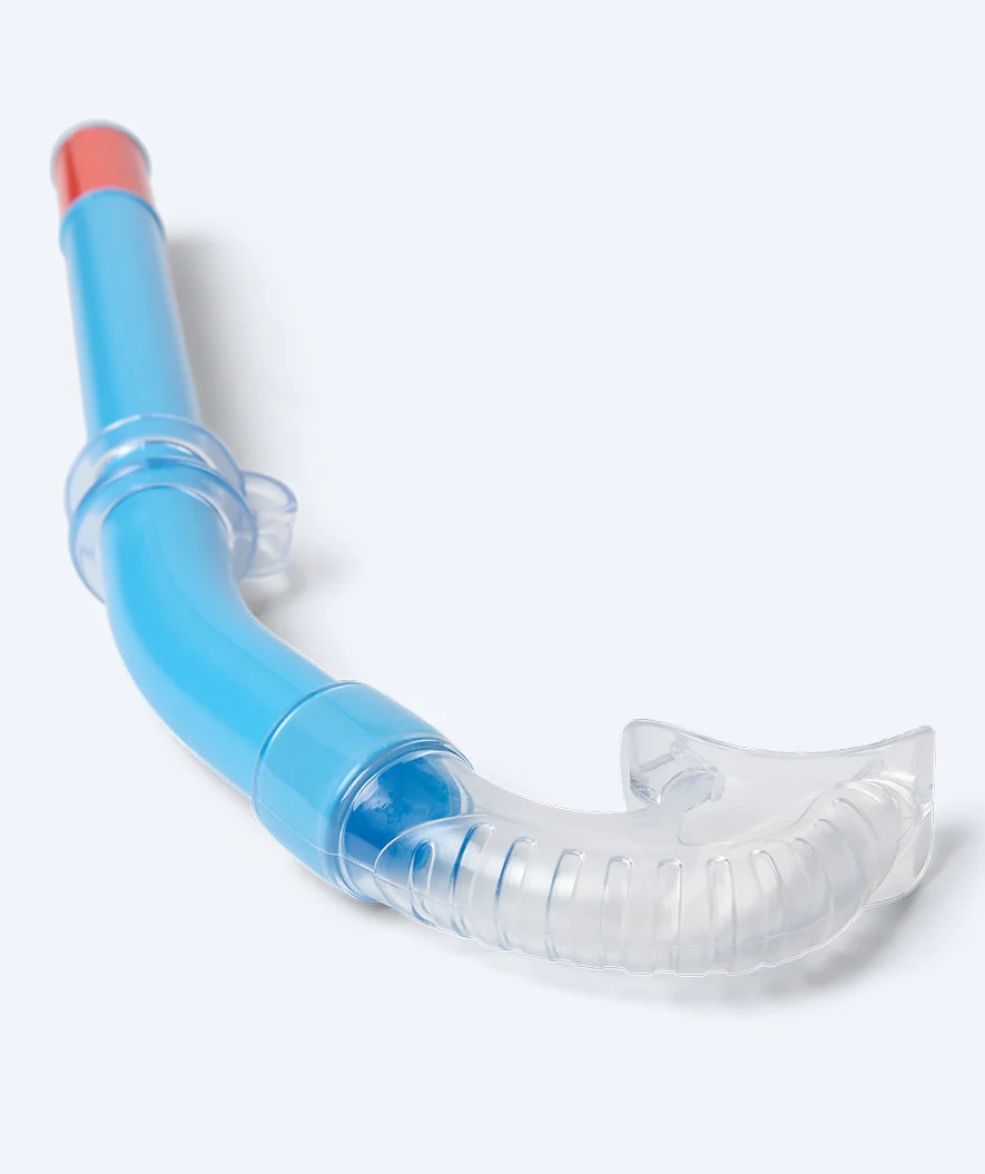 Watery snorkel for junior (8-15) - Misu - Blue - Image 2